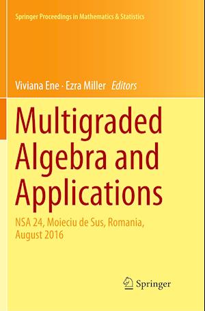 Multigraded Algebra and Applications