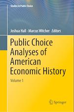 Public Choice Analyses of American Economic History
