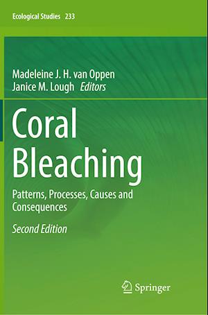 Coral Bleaching