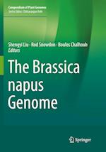 The Brassica napus Genome