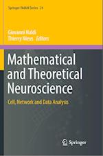 Mathematical and Theoretical Neuroscience