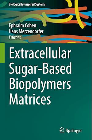 Extracellular Sugar-Based Biopolymers Matrices