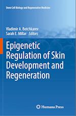 Epigenetic Regulation of Skin Development and Regeneration