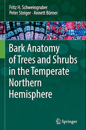 Bark Anatomy of Trees and Shrubs in the Temperate Northern Hemisphere