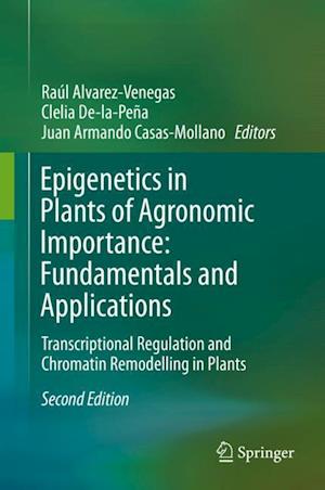 Epigenetics in Plants of Agronomic Importance: Fundamentals and Applications