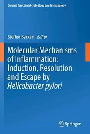 Molecular Mechanisms of Inflammation: Induction, Resolution and Escape by Helicobacter pylori