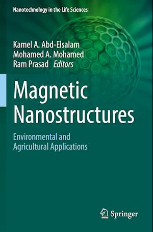 Magnetic Nanostructures