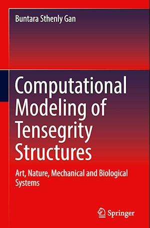 Computational Modeling of Tensegrity Structures