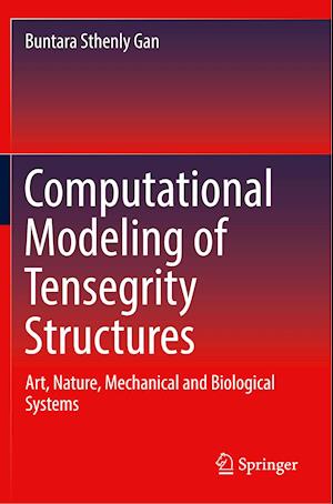 Computational Modeling of Tensegrity Structures