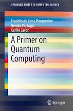 A Primer on Quantum Computing