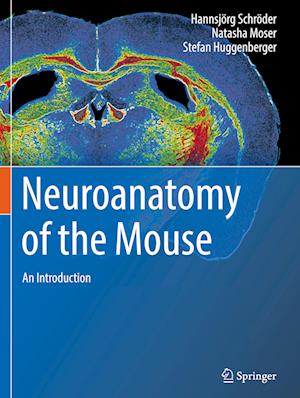 Neuroanatomy of the Mouse