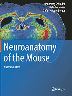 Neuroanatomy of the Mouse