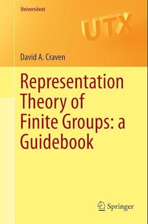 Representation Theory of Finite Groups: a Guidebook