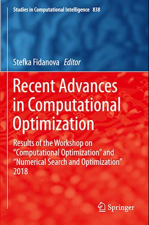 Recent Advances in Computational Optimization