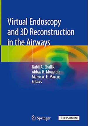 Virtual Endoscopy and 3D Reconstruction in the Airways