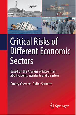 Critical  Risks of Different Economic Sectors