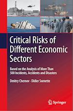 Critical  Risks of Different Economic Sectors