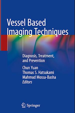 Vessel Based Imaging Techniques