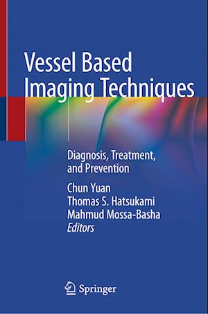 Vessel Based Imaging Techniques