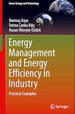 Energy Management and Energy Efficiency in Industry : Practical Examples 