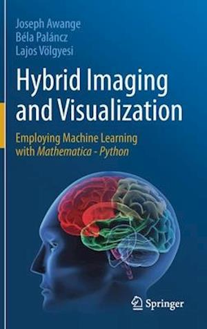 Hybrid Imaging and Visualization