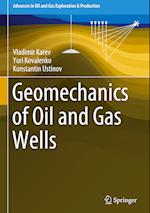 Geomechanics of Oil and Gas Wells