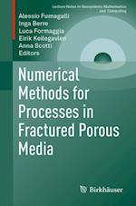 Numerical Methods for Processes in Fractured Porous Media