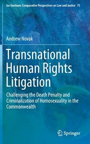 Transnational Human Rights Litigation