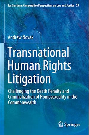 Transnational Human Rights Litigation
