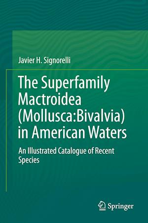The Superfamily Mactroidea (Mollusca:Bivalvia) in American Waters