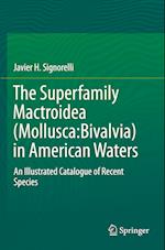 The Superfamily Mactroidea (Mollusca:Bivalvia) in American Waters