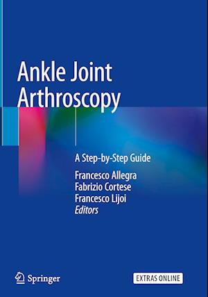 Ankle Joint Arthroscopy