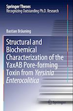 Structural and Biochemical Characterization of the YaxAB Pore-forming Toxin from Yersinia Enterocolitica
