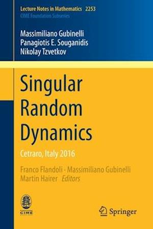 Singular Random Dynamics