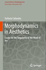 Morphodynamics in Aesthetics