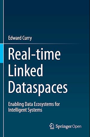 Real-time Linked Dataspaces