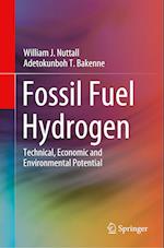 Fossil Fuel Hydrogen