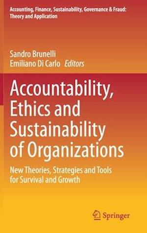 Accountability, Ethics and Sustainability of Organizations