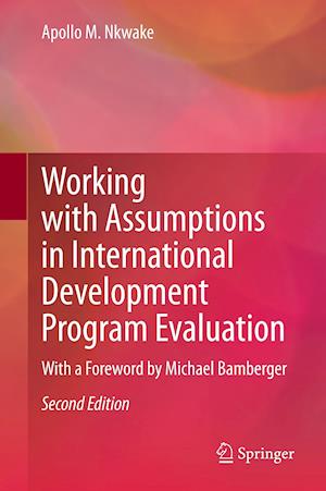 Working with Assumptions in International Development Program Evaluation