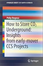 How to Store CO2 Underground: Insights from early-mover CCS Projects