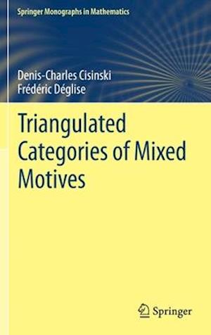 Triangulated Categories of Mixed Motives