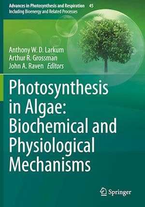 Photosynthesis in Algae: Biochemical and Physiological Mechanisms