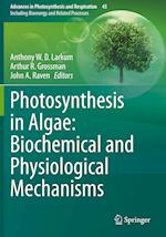 Photosynthesis in Algae: Biochemical and Physiological Mechanisms