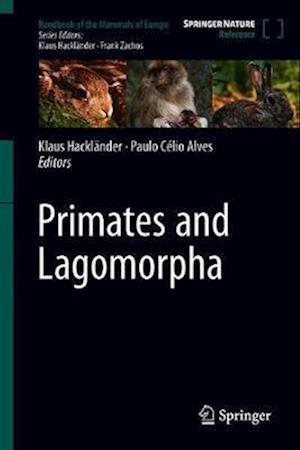 Primates and Lagomorpha