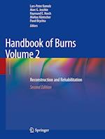 Handbook of Burns Volume 2