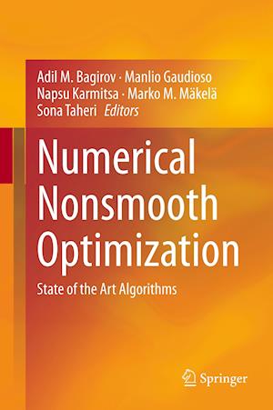 Numerical Nonsmooth Optimization