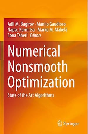 Numerical Nonsmooth Optimization