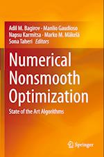 Numerical Nonsmooth Optimization