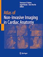 Atlas of Non-Invasive Imaging in Cardiac Anatomy