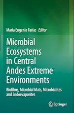 Microbial Ecosystems in Central Andes Extreme Environments